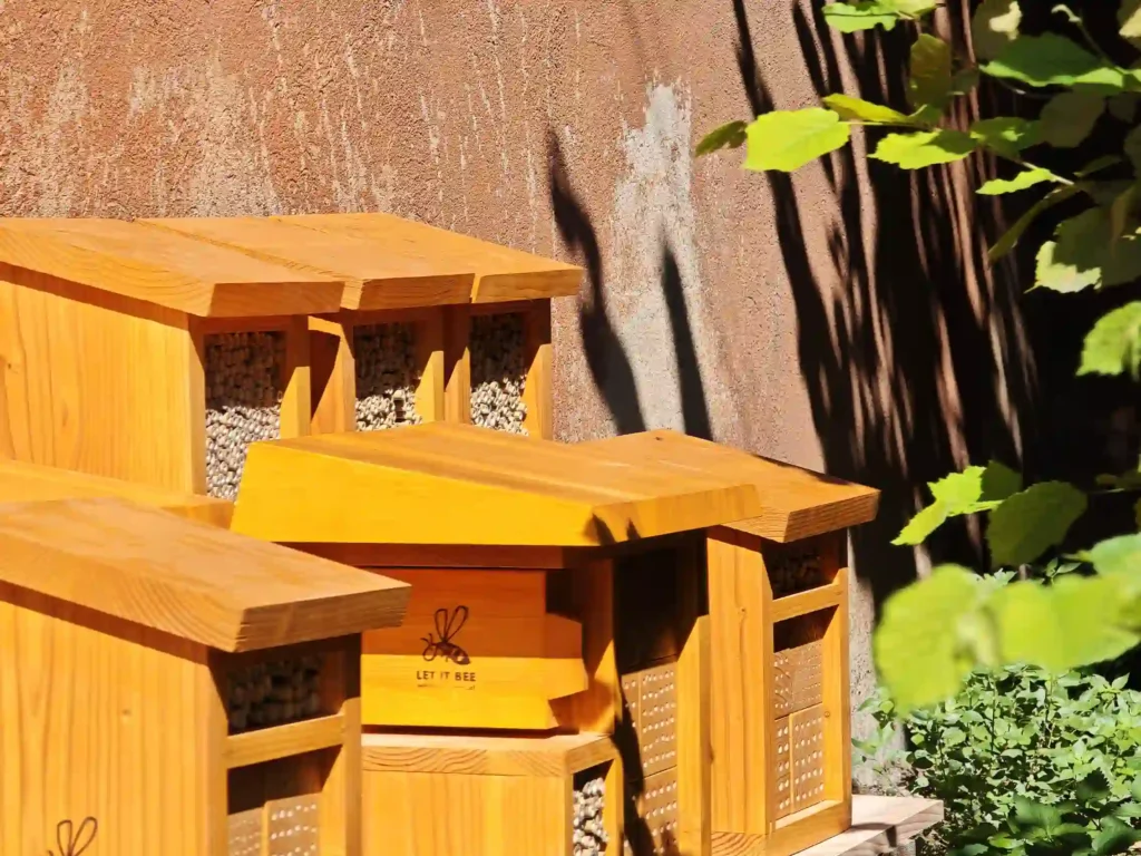 img 20250729 105630 1r